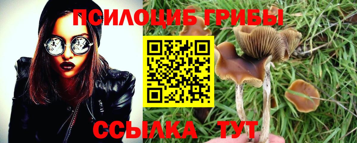 Галлюциногенные грибы мицелий Смоленск
