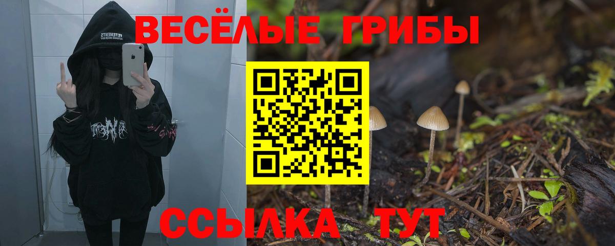 Галлюциногенные грибы мицелий  как найти наркотики  Смоленск  Вход с VPN 